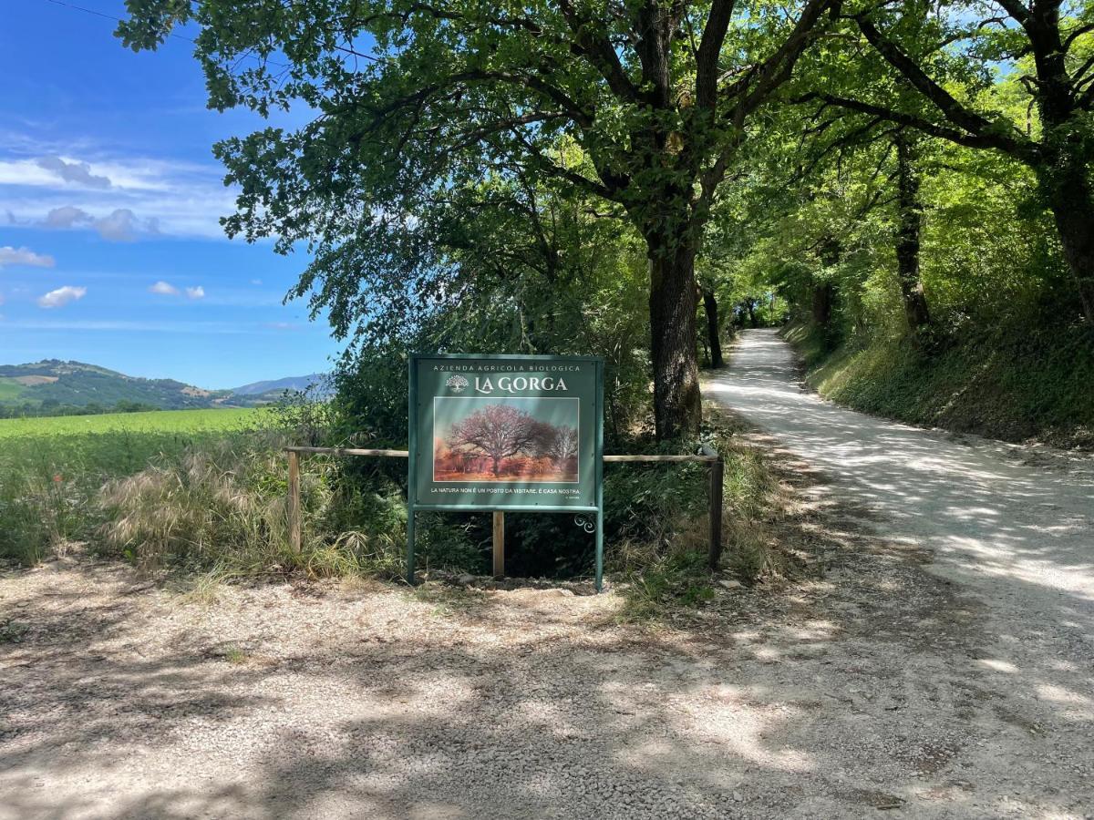 Casa La Gorga Holiday home Cagli